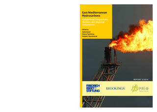 East mediterranean hydrocarbons